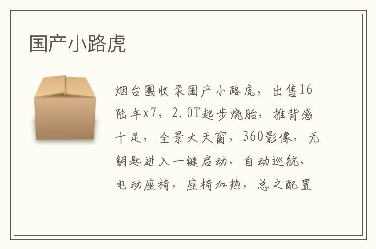 國產(chǎn)小路虎
