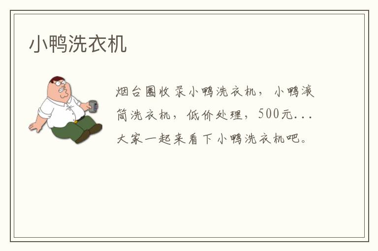 小鴨洗衣機(jī)