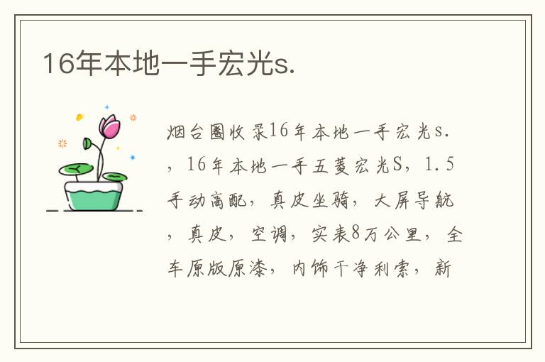 16年本地一手宏光s.