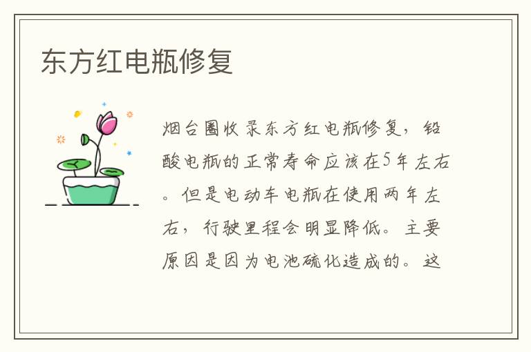 東方紅電瓶修復(fù)